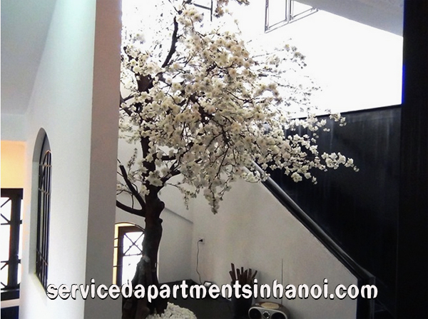 Hoa Binh Hotel Apartment near Hoan Kiem Lake for rent, Full services 4
