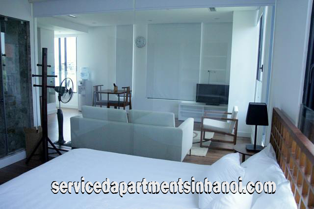 Lake View Modern Apartment for rent Close to Thong Nhat Park, Dong Da 14