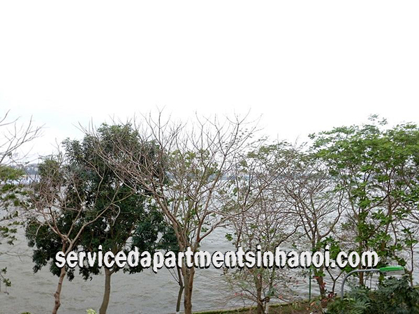 Lake View One Bedroom Apartment for rent in Nhat Chieu street, Tay Ho 2