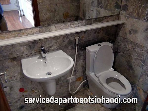 Lakeview One Bedroom Apartment Rental in Le Duan street near Thong nhat Park 12