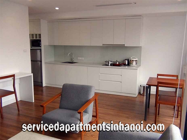 Lakeview One Bedroom Apartment Rental in Le Duan street near Thong nhat Park 14