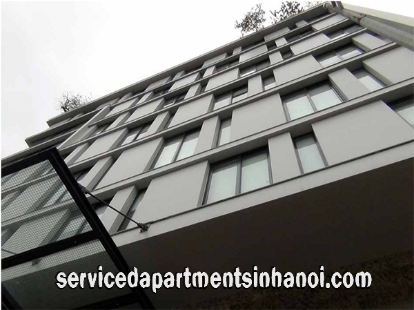 Lakeview One Bedroom Apartment Rental in Le Duan street near Thong nhat Park 2
