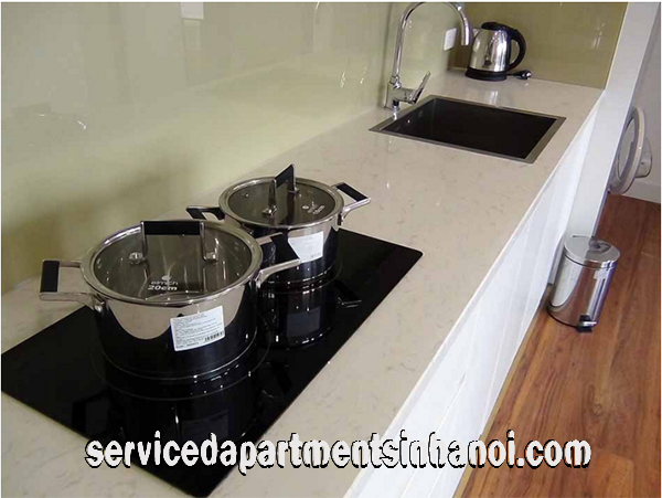Lakeview One Bedroom Apartment Rental in Le Duan street near Thong nhat Park 4