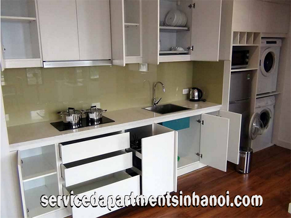 Lakeview One Bedroom Apartment Rental in Le Duan street near Thong nhat Park 9