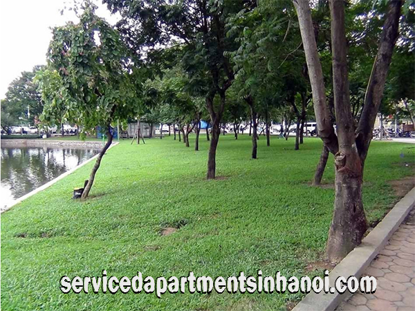 Lakeview One Bedroom Apartment Rental in Le Duan street near Thong nhat Park 1