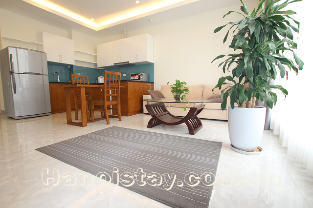Lakeview Two Bedroom Serviced Apartment Rental in Le Duan street, Dong Da 3