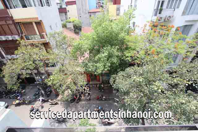Luxury One Bedroom Serviced Apartment Rental in Trieu Viet Vuong street, Hai Ba Trung 14
