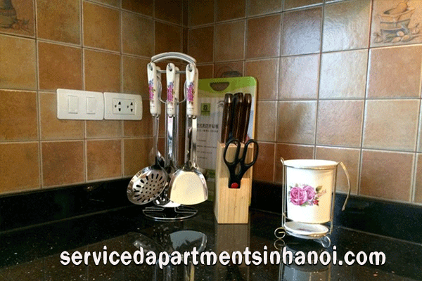 Luxury two bedroom apartment Rental in the heart of Hai Ba Trung 19
