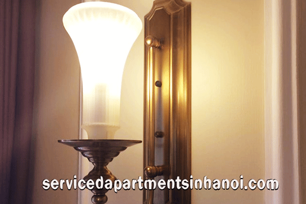 Luxury two bedroom apartment Rental in the heart of Hai Ba Trung 3