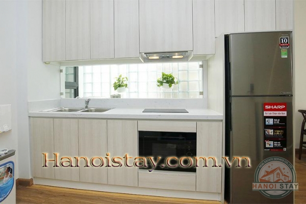 *Magnificent One Bedroom Apartment Rental in Tay Ho Road, Near Somerset West Point* 2
