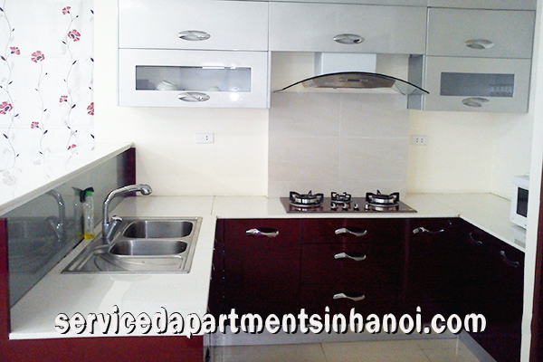 Magnificent Penhouse Apartment for rent in Hai Ba Trung 4