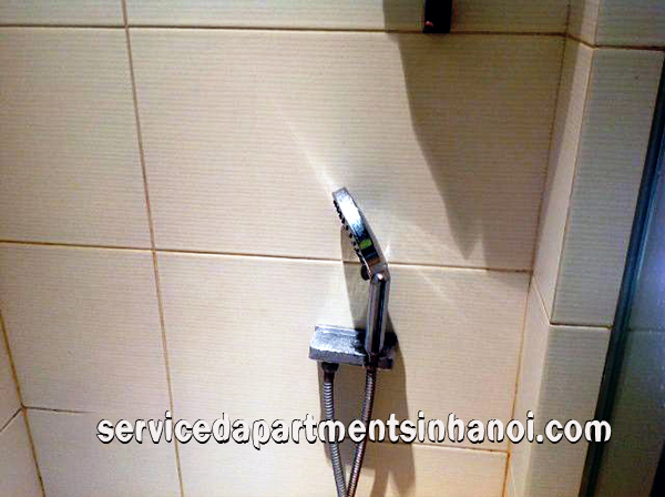 Marvelous two bedroom Apartment rental in IPH Complex 6