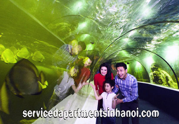 Modern decoration Two bedroom Apartment rental in Times City Area, Hai Ba Trung 6