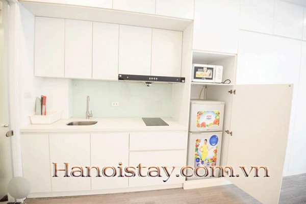 MODERN DESIGN APARTMENT in BA DINH District -