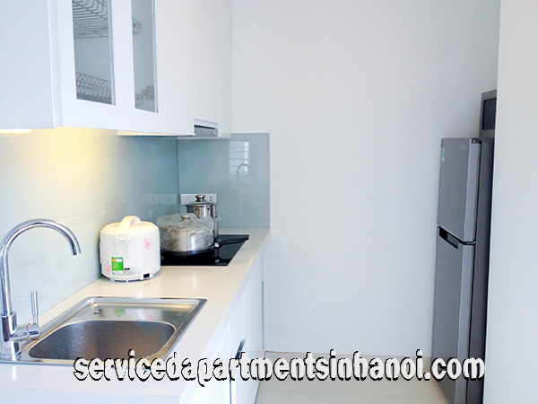Modern One bedroom Apartment in Nguyen Chi Thanh street With beautiful Balcony for Rent 3