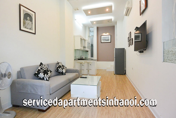 Modern One Bedroom Apartment Rental in Au Co street, Tay Ho, Budget Price 2