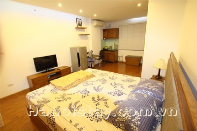 Modern Studio Type Apartment for rent in Truc Bach