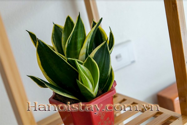 Modern Two Bedroom Property Rental in Nghi tam street, Tay Ho district, Cozy Decoration 19
