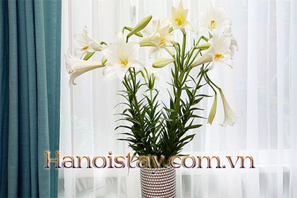 *New & Modern 2 bedroom Serviced Apartment For Rent near Westlake, Hanoi* 15