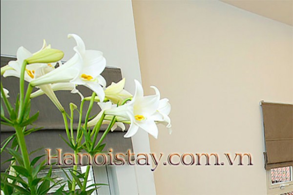 *New & Modern 2 bedroom Serviced Apartment For Rent near Westlake, Hanoi* 19