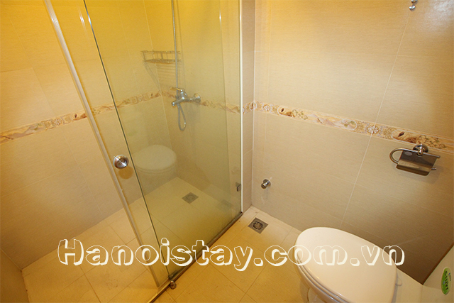 New rental serviced apartment for rent in Truc Bach 8