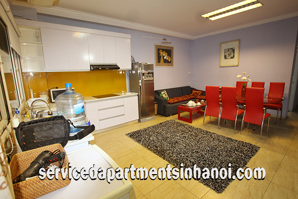 Newly renovated Apartment Rental in Le Duan Street, Hai Ba Trung 2