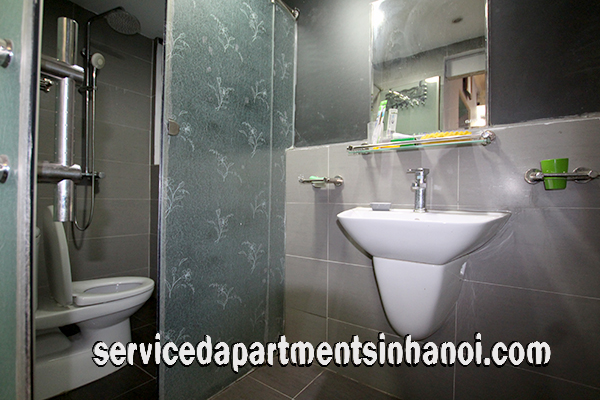 Newly renovated Apartment Rental in Le Duan Street, Hai Ba Trung 6