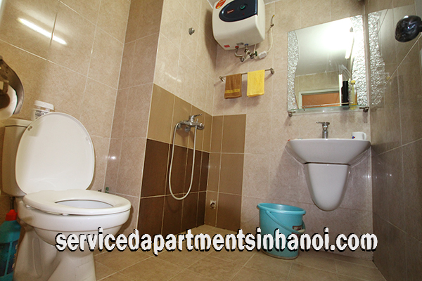 Newly renovated Apartment Rental in Le Duan Street, Hai Ba Trung 7