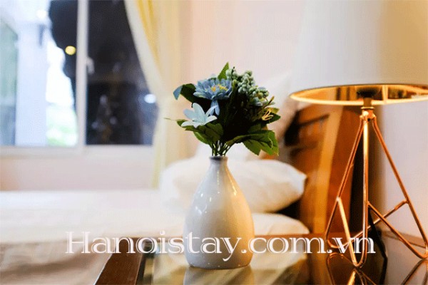 Newly Renovated Apartment Rental in Phan Dinh Phung street, Hoan Kiem 3