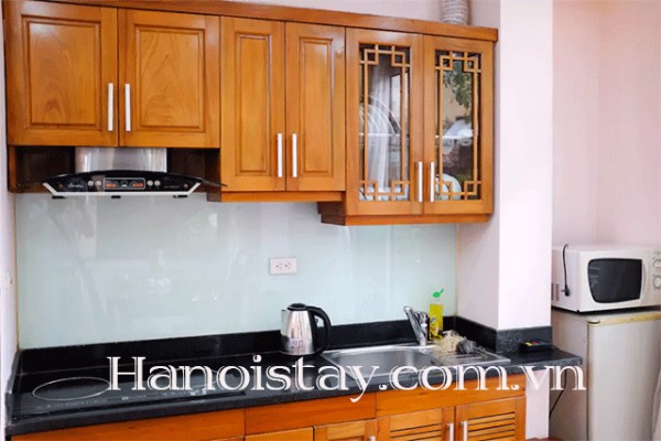 Newly Renovated Apartment Rental in Phan Dinh Phung street, Hoan Kiem 4