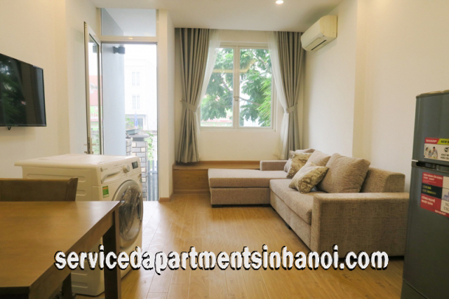 Newly Renovated One Bedroom Apartment Rental in Au Co Street, Tay Ho 1