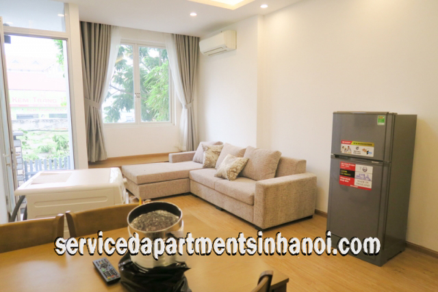 Newly Renovated One Bedroom Apartment Rental in Au Co Street, Tay Ho 11
