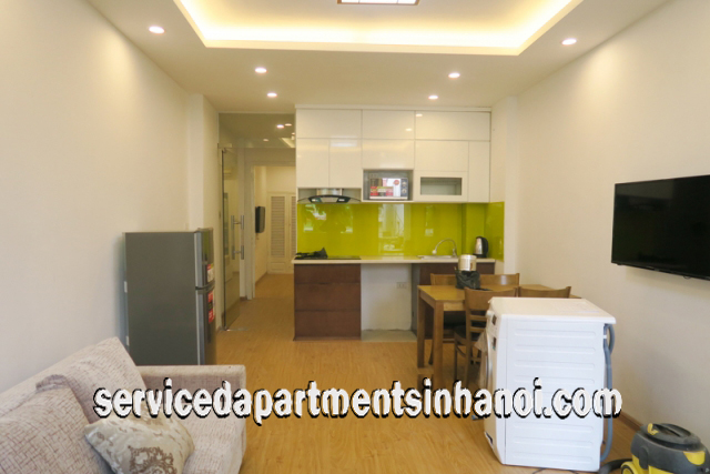 Newly Renovated One Bedroom Apartment Rental in Au Co Street, Tay Ho 3