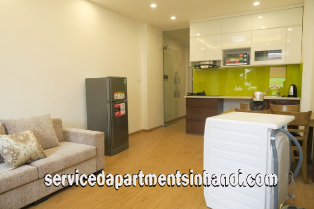 Newly Renovated One Bedroom Apartment Rental in Au Co Street, Tay Ho 4