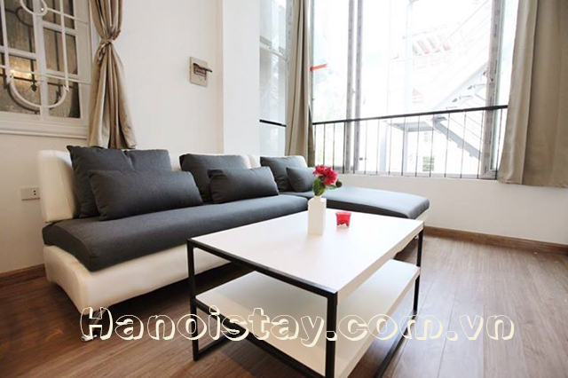 Newly Renovated One Bedroom Apartment Rental in Dang Thai Mai street, Tay Ho 1