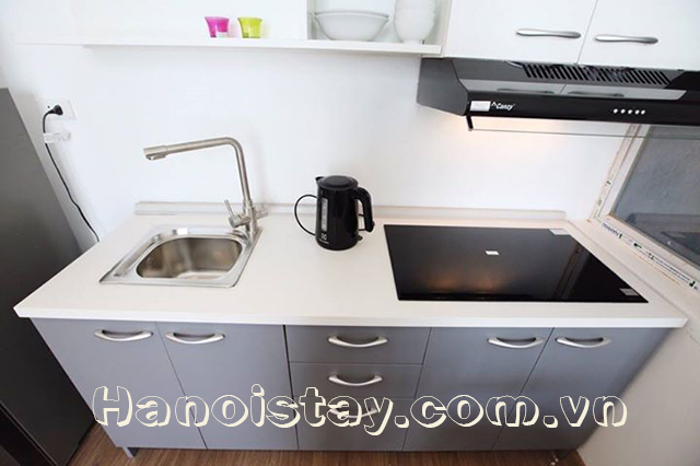Newly Renovated One Bedroom Apartment Rental in Dang Thai Mai street, Tay Ho 5