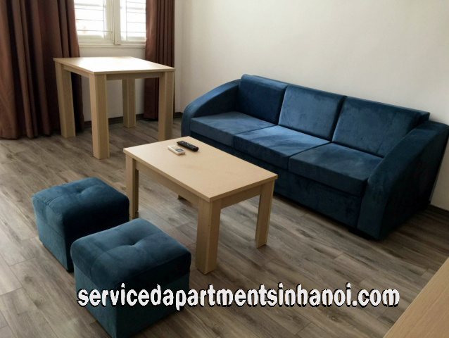 Newly Renovated One Bedroom Apartment Rental in Phan Chu Trinh str, Hoan Kiem 2