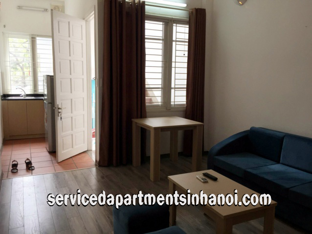 Newly Renovated One Bedroom Apartment Rental in Phan Chu Trinh str, Hoan Kiem 3