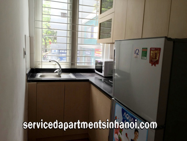 Newly Renovated One Bedroom Apartment Rental in Phan Chu Trinh str, Hoan Kiem 5