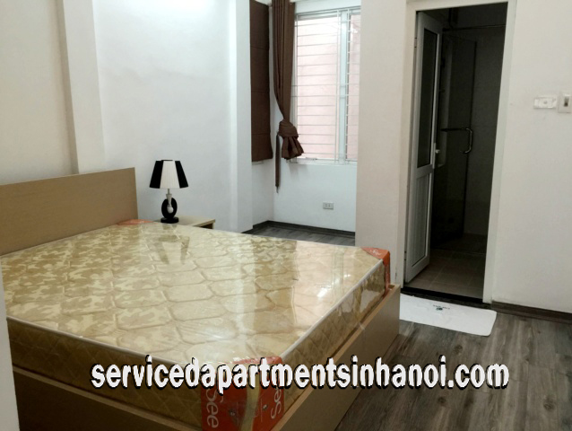 Newly Renovated One Bedroom Apartment Rental in Phan Chu Trinh str, Hoan Kiem 7