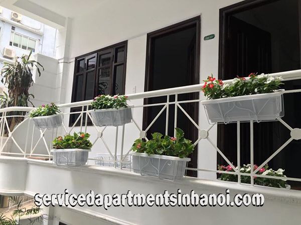 Newly Renovated Serviced Apartment in center of Hai Ba Trung distrcit, Hanoi 2