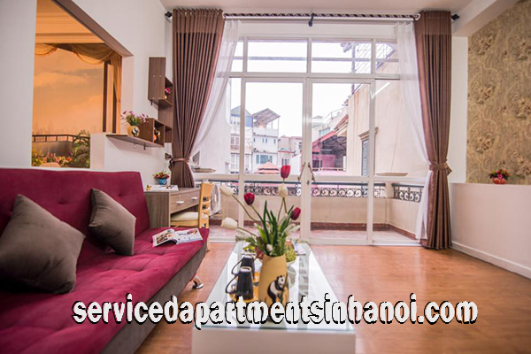 Newly Renovated Serviced Apartment Rental in Truc Bach Area, Ba Dinh 3