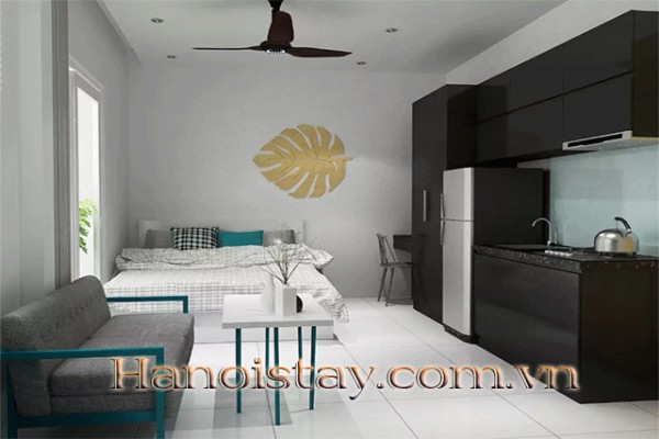 Newly Renovated Studio Type Apartment Rental in Ton Duc Thang Street, Dong Da 2