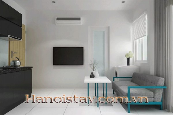 Newly Renovated Studio Type Apartment Rental in Ton Duc Thang Street, Dong Da 3