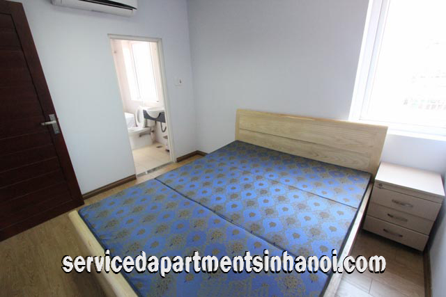 Newly Renovated Two Bedroom Apartment Rental Close to Bach Khoa University 4