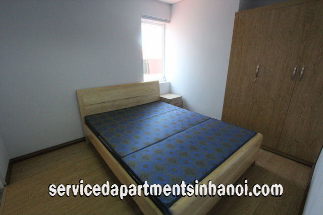 Newly Renovated Two Bedroom Apartment Rental Close to Bach Khoa University 5