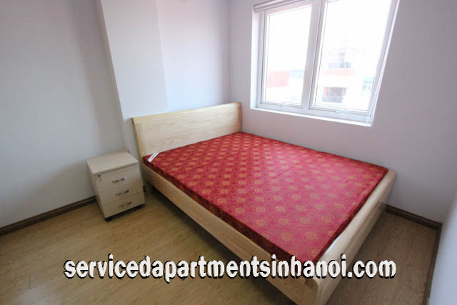 Newly Renovated Two Bedroom Apartment Rental Close to Bach Khoa University 6