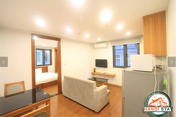 Newly Renovated Two Bedroom Apartment Rental in Tran Te Xuong street, Ba Dinh 1