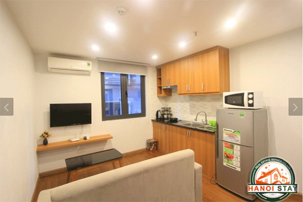 Newly Renovated Two Bedroom Apartment Rental in Tran Te Xuong street, Ba Dinh 3