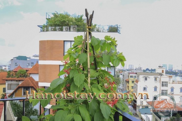 Newly Renovated & Well furnished 02 BRs Apartment Rental in Center of Tay Ho, Hanoi 15